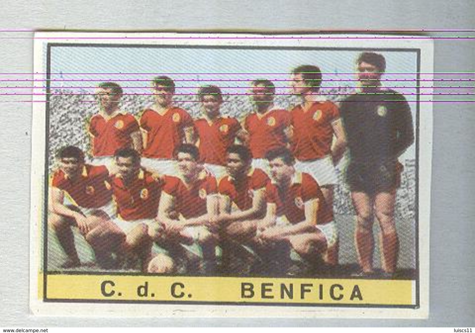 BENFICA CALCIO TEAM .....EUSEBIO..MUNDIAL....SOCCER..WORLD CUP....FOOTBALL..FIFA - Trading Cards