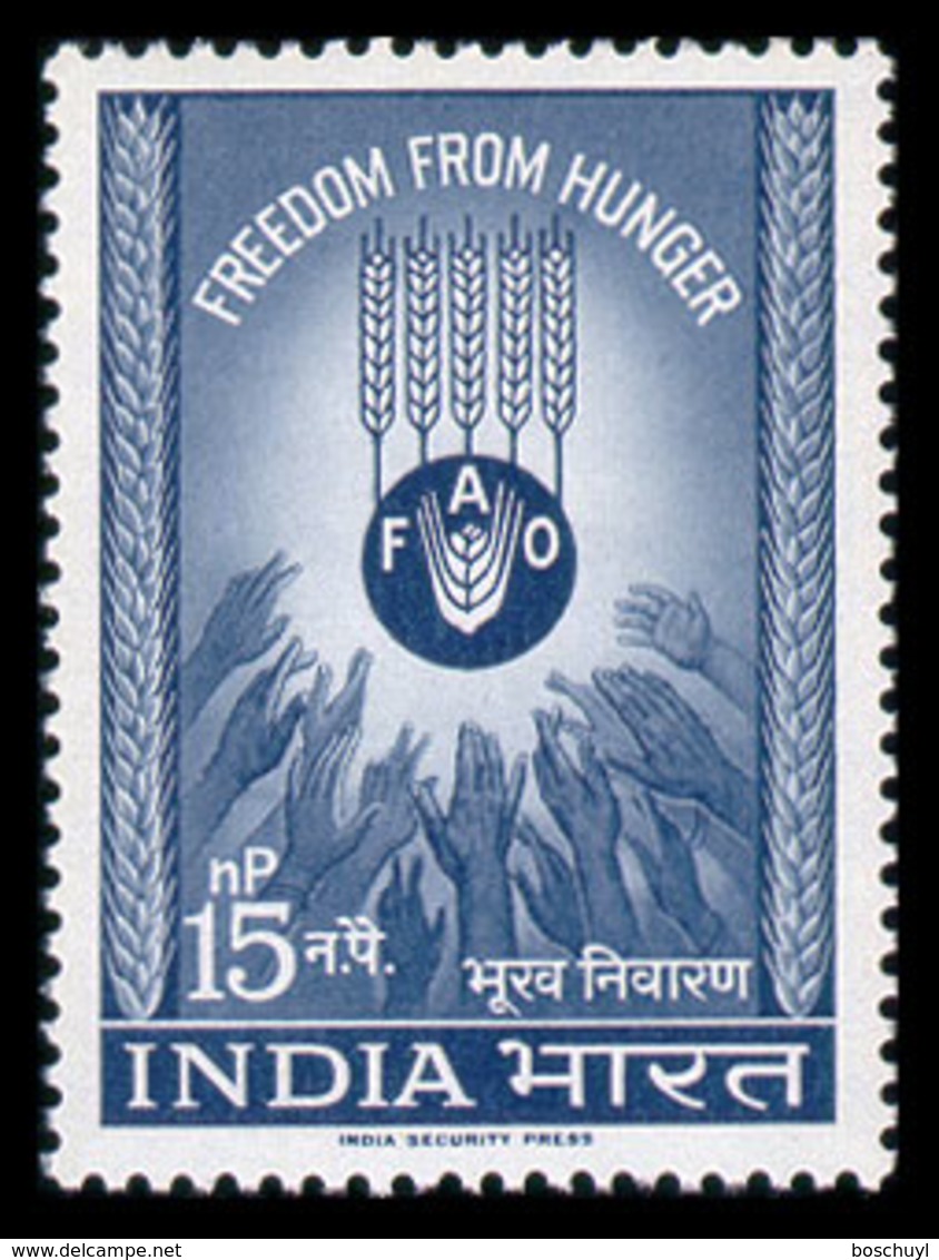 India, 1963, Freedom From Hunger, FAO, United Nations, MNH, Michel 352 - Autres & Non Classés