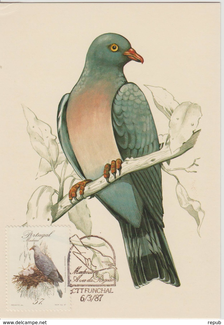 Portugal Madère Carte Maximum Oiseaux 1987 Pigeon 117 - Madère