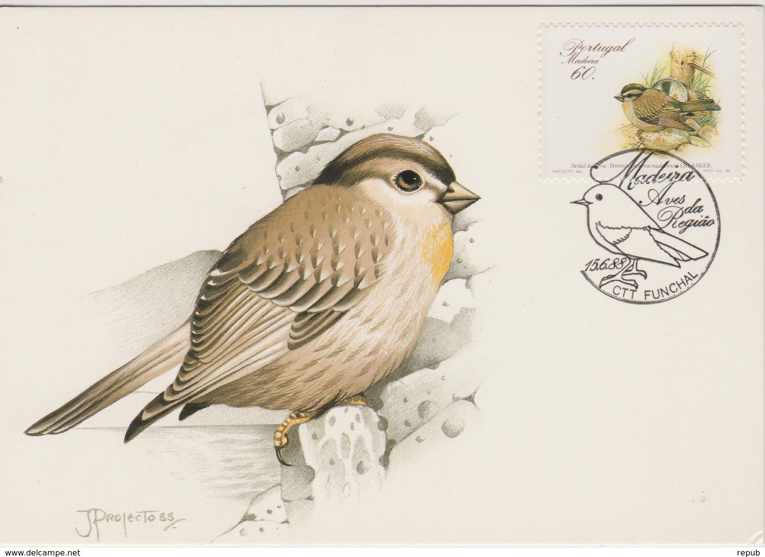 Portugal Madère Carte Maximum Oiseaux 1988 Petronia 126 - Madère