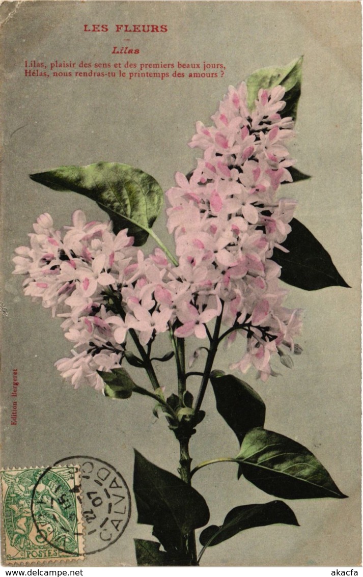 CPA A.BERGERET Les Fleurs-Lilas (745412) - Bergeret