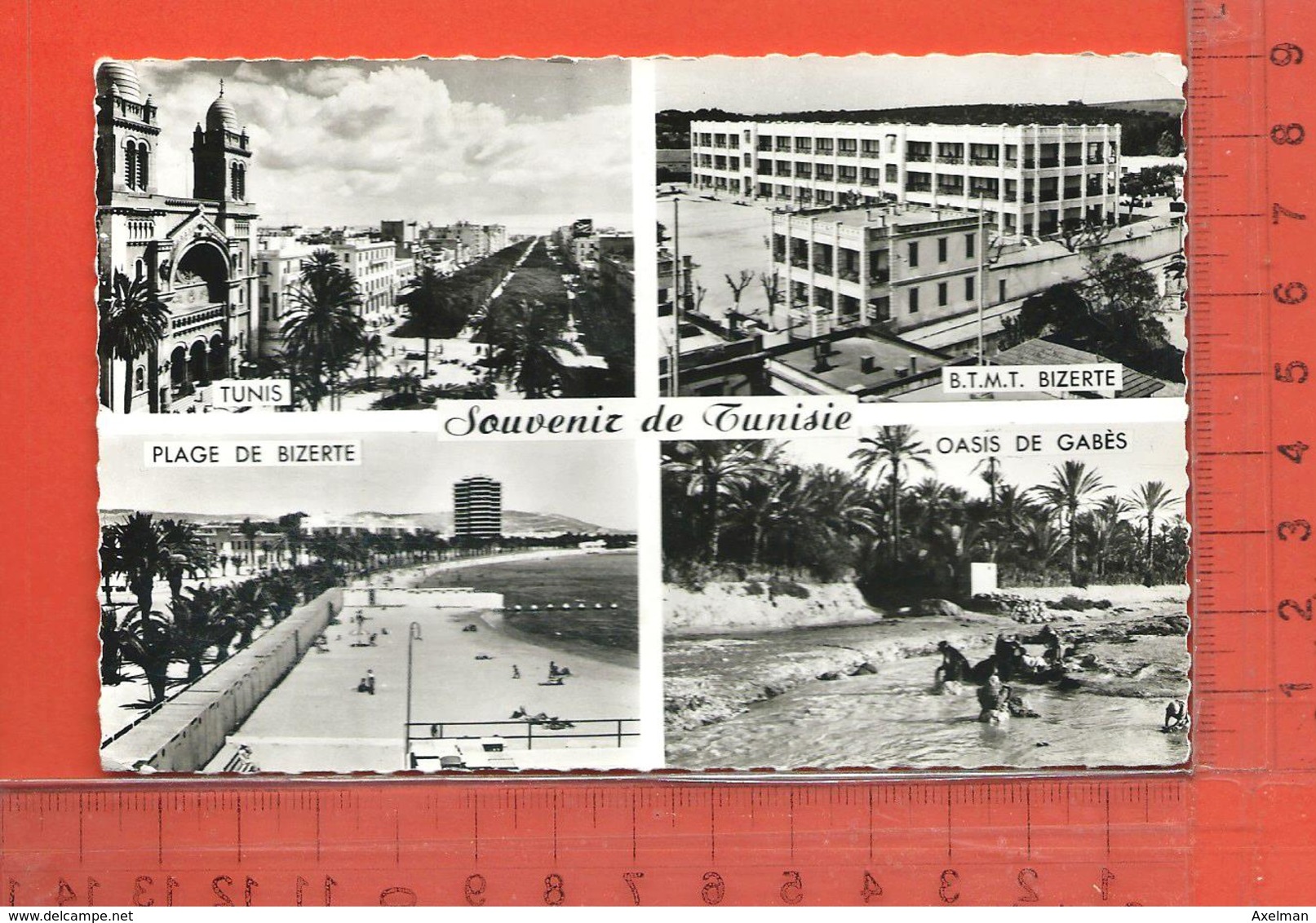 CPM, SOUVENIR DE TUNISIE: Multivues - Tunisie