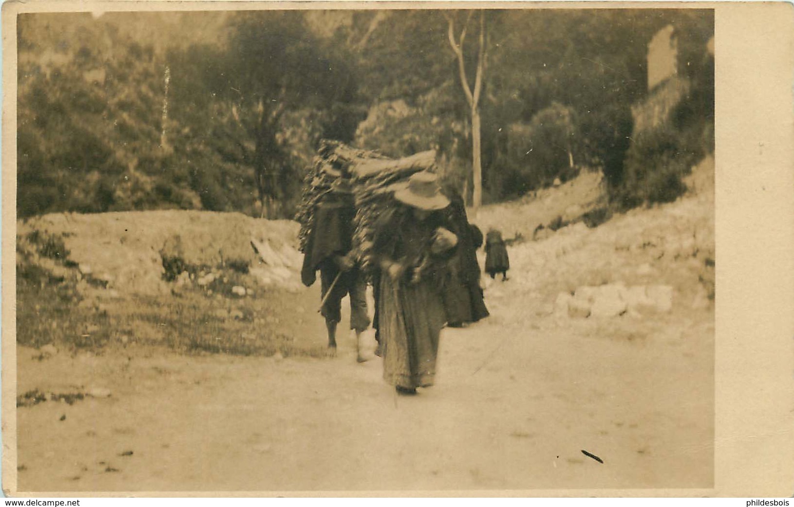 AMERIQUE  COLOMBIE (carte Photo)  Porteurs De Bois - Kolumbien