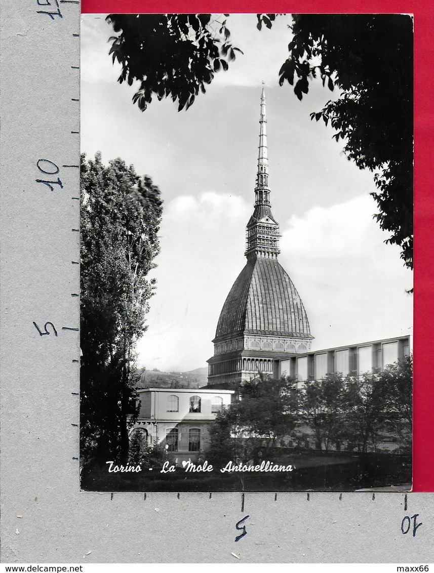 CARTOLINA VG ITALIA - TORINO - La Mole Antonelliana - 10 X 15 - ANN. 1977 - Mole Antonelliana