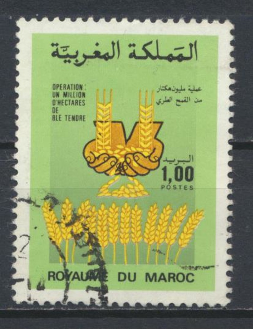 °°° MAROC - Y&T N°1016 - 1986 °°° - Marocco (1956-...)