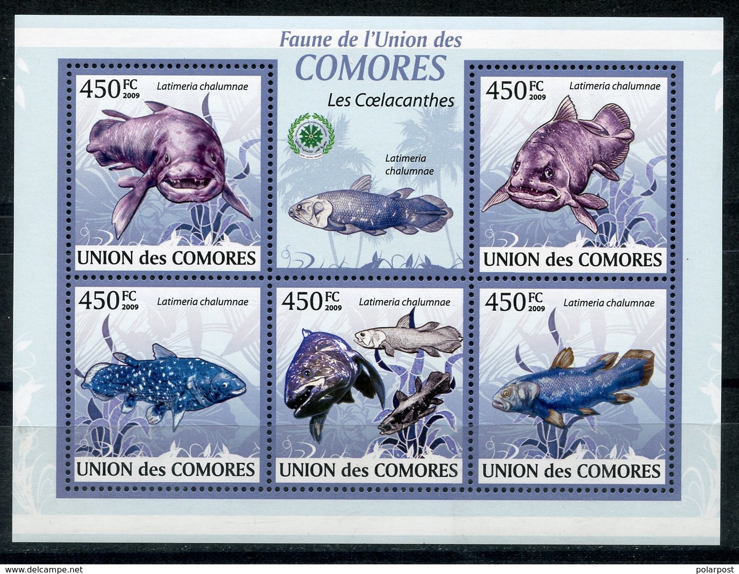 Comoros 2009 KU0100 Fish. Latimeria Chalumnae. West Indian Ocean. Fauna - Comores (1975-...)