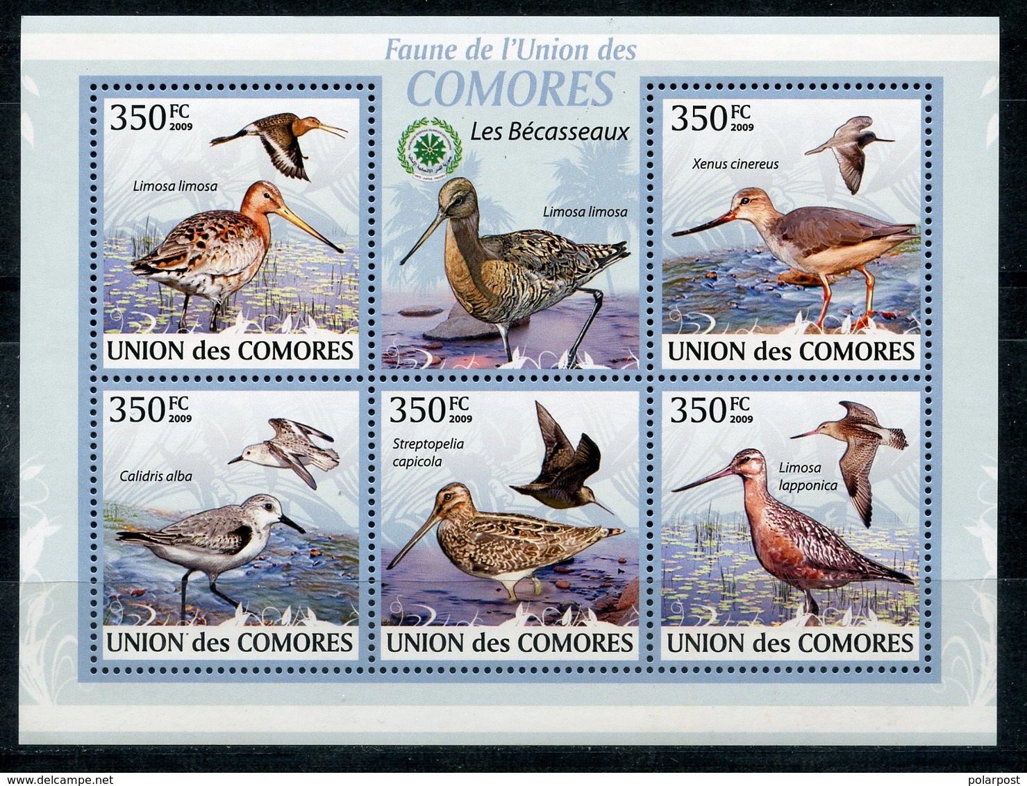 Comoros 2009 2009 KU0101 Wading Birds. Fauna - Comores (1975-...)