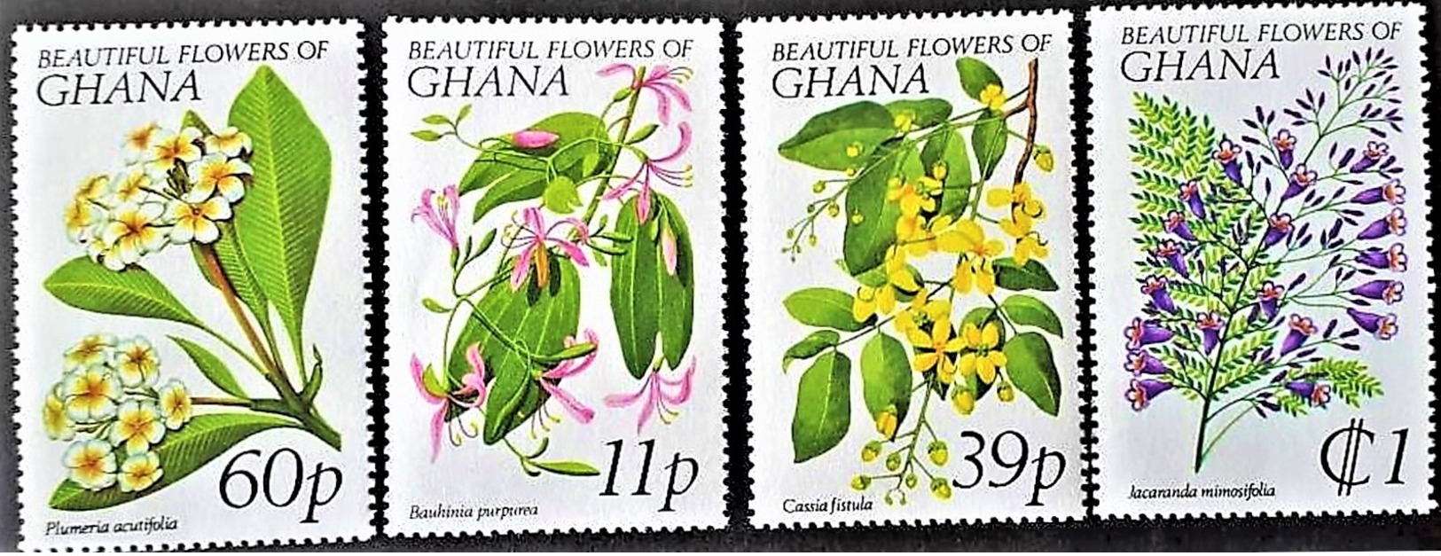 # Ghana 1978**Mi.779-82  Flowers , MNH  [23;63] - Other & Unclassified