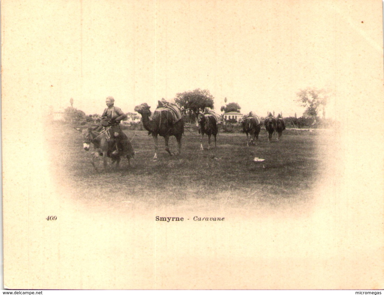 SMYRNE - Caravane - Cliché Tiré Du Tour Du Monde Du Navire Duguay-Trouin, Début 20e - Turquie