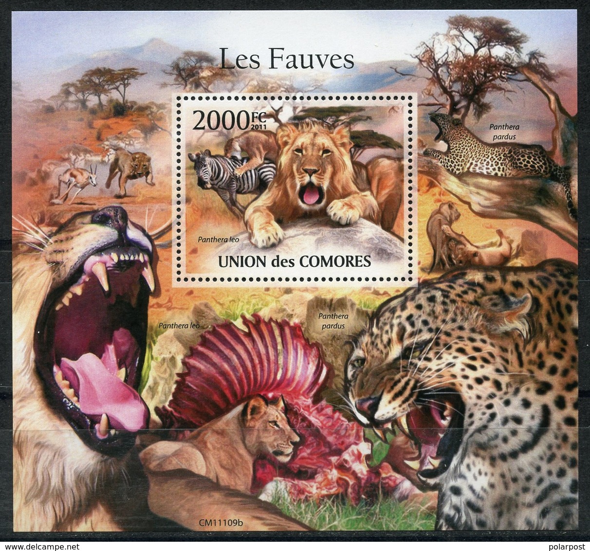 Comoros 2011 KU001 Mammals. Big Cats. Predatory Cats. Lions Cheetahs Panthers Fauna - Comores (1975-...)