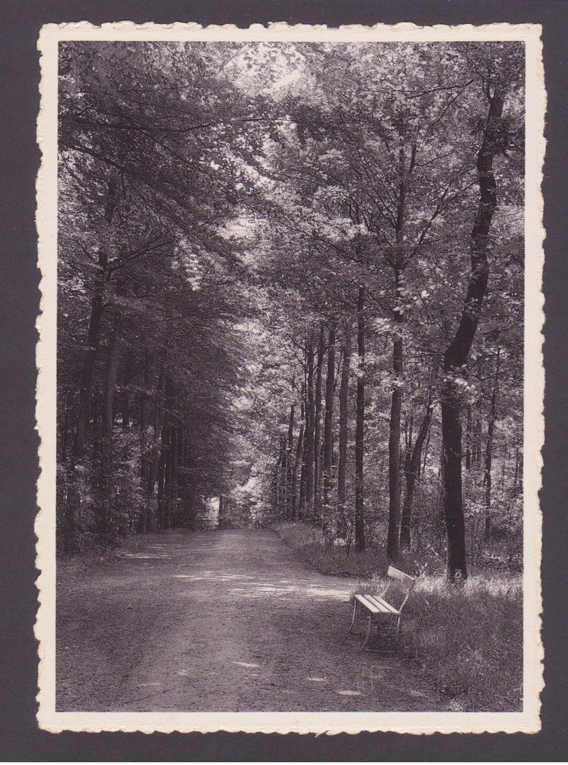 MELLE -  College Caritas  In Het Park - Melle