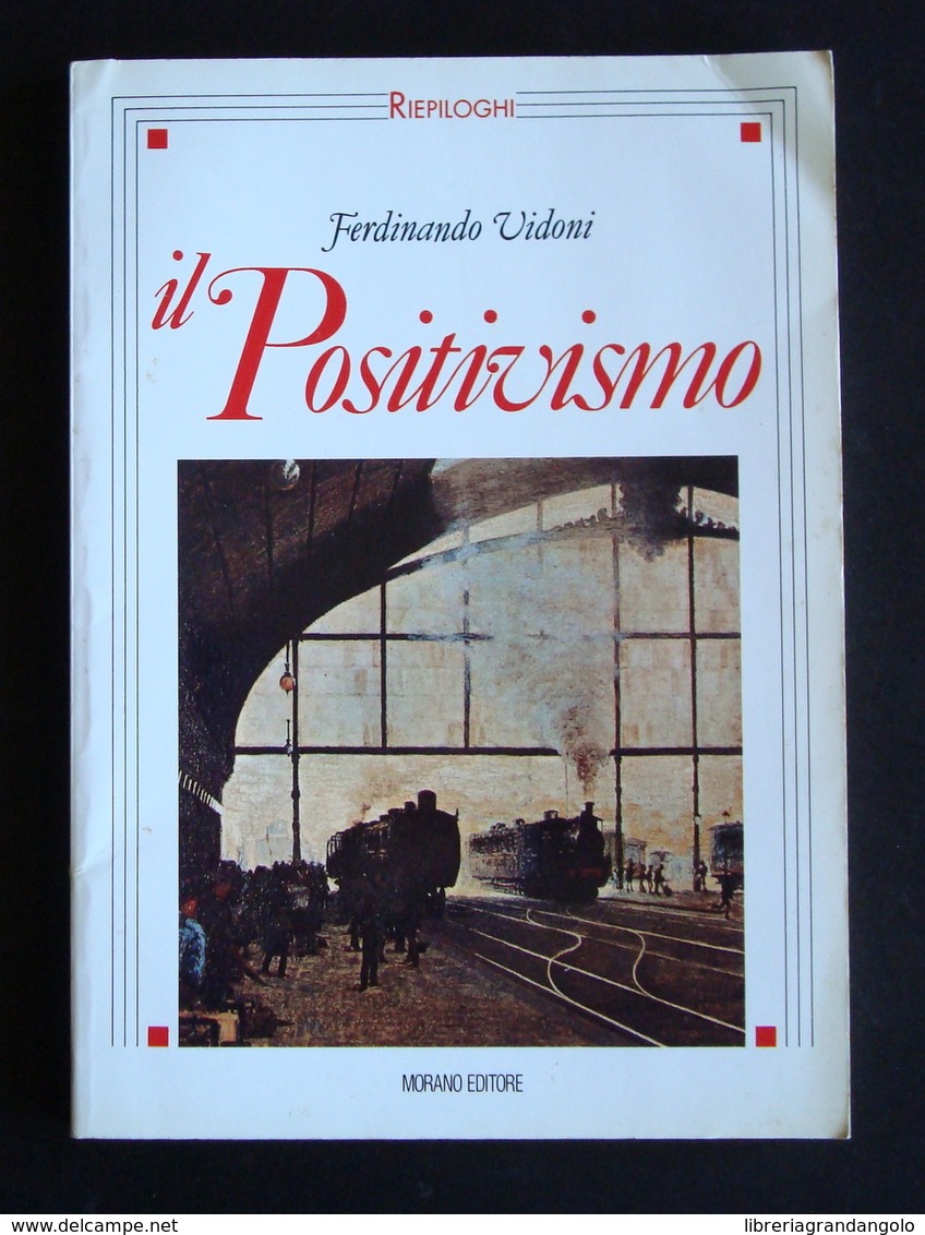 FERDINANDO VIDONI IL POSITIVISMO  MORANO ED RIEPILOGHI  1993 NAPOLI CARNAZZI - Non Classificati