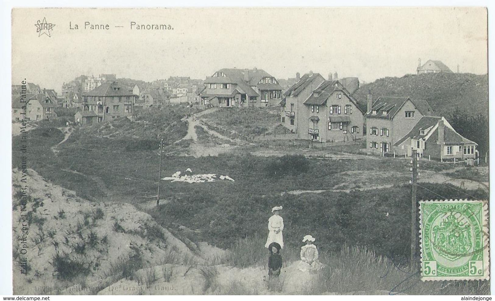 De Panne - La Panne - Panorama - Star 1629 - Heliotypie De Graeve - De Panne