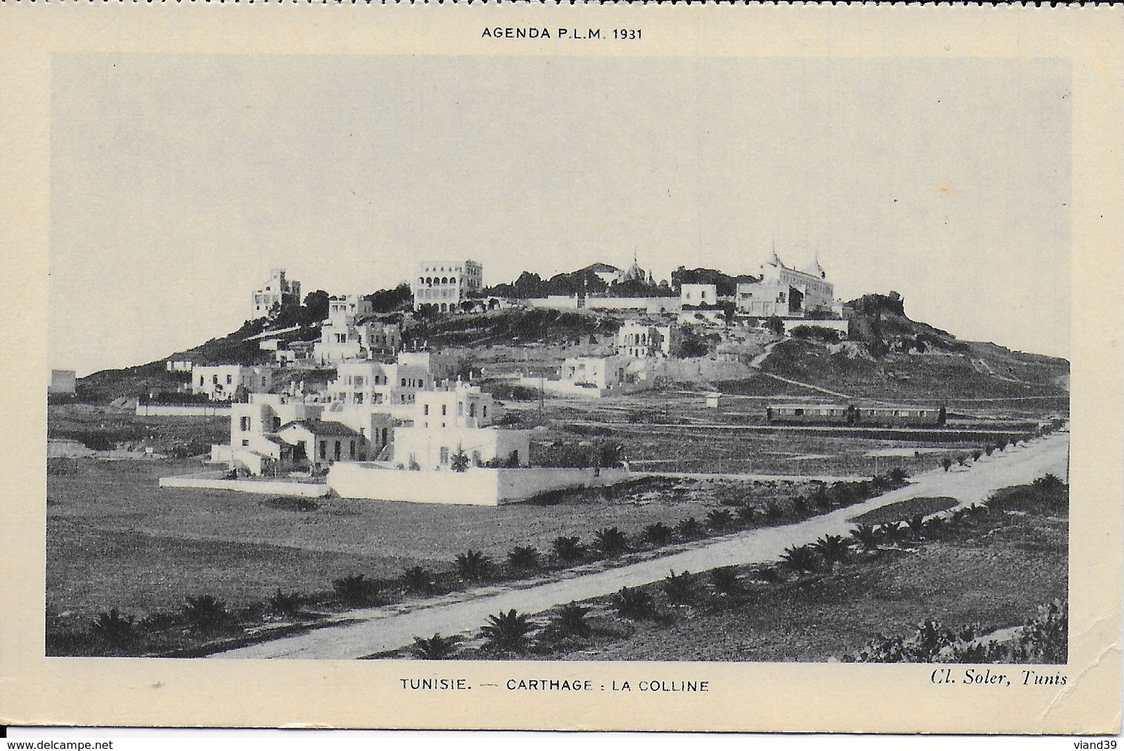 Tunisie - Carthage : La Colline - Carte PLM 1931 - Tunisie