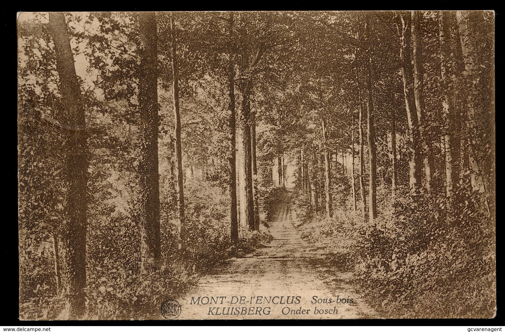 KLUISBERGEN   ONDER BOSCH - Kluisbergen