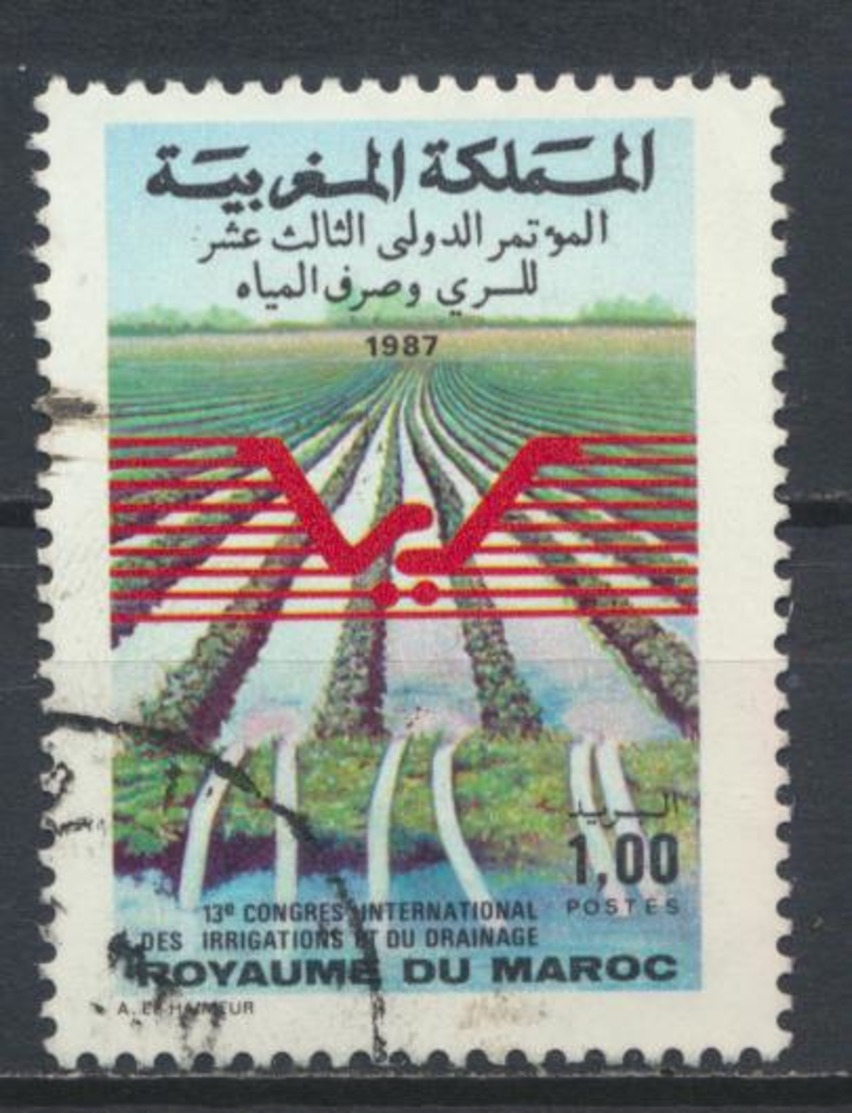 °°° MAROC - Y&T N°1037 - 1987 °°° - Marocco (1956-...)