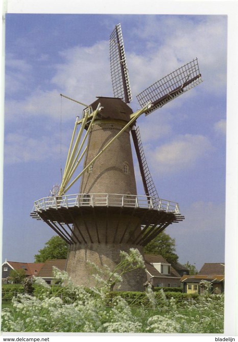 HEINKENSZAND - Borsele (Zeeland) - Molen/moulin - Prachtige WENSKAART Incl. Envelop Van "De Vijf Gebroeders" - Autres & Non Classés