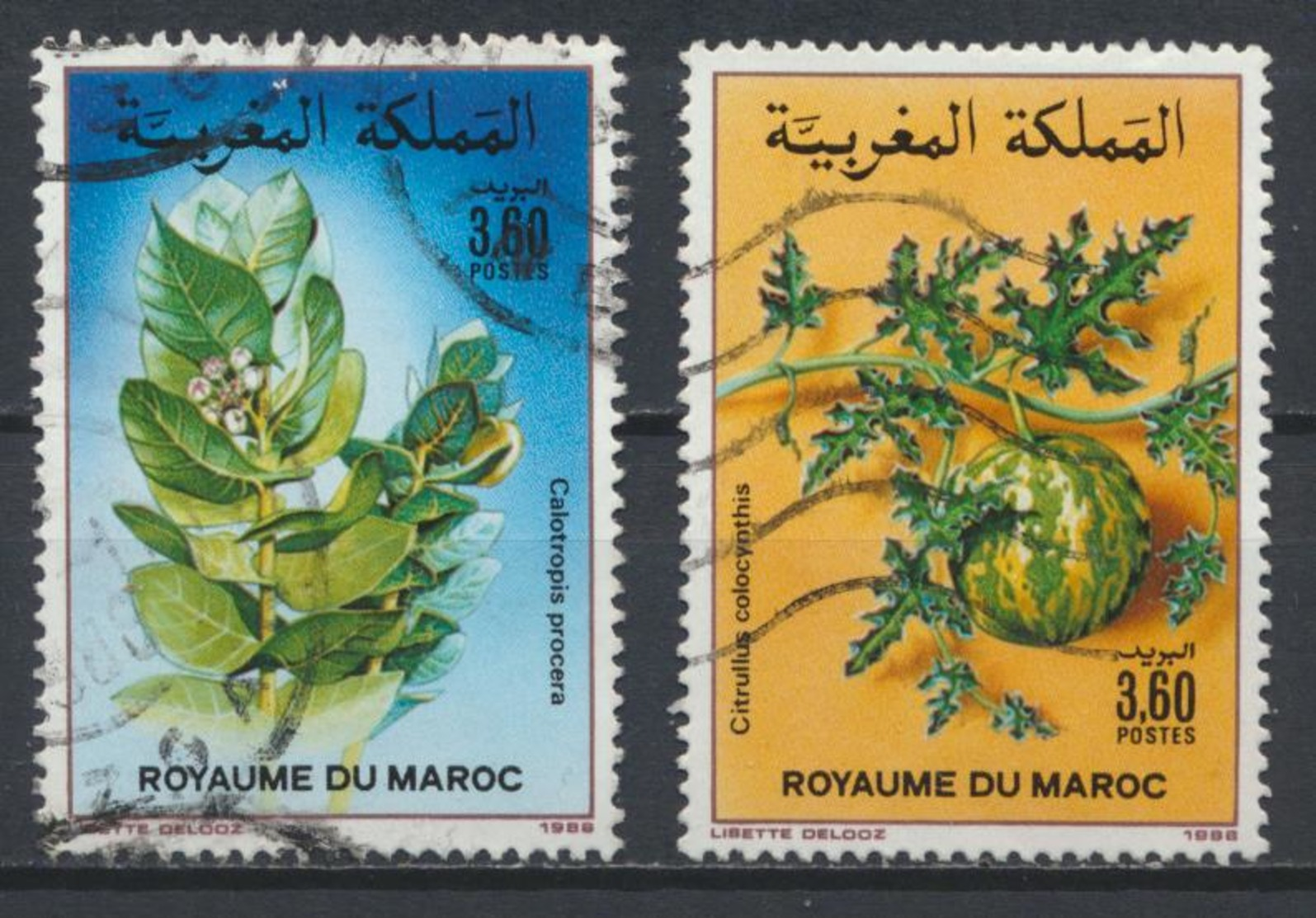 °°° MAROC - Y&T N°1052/53 - 1988 °°° - Marocco (1956-...)