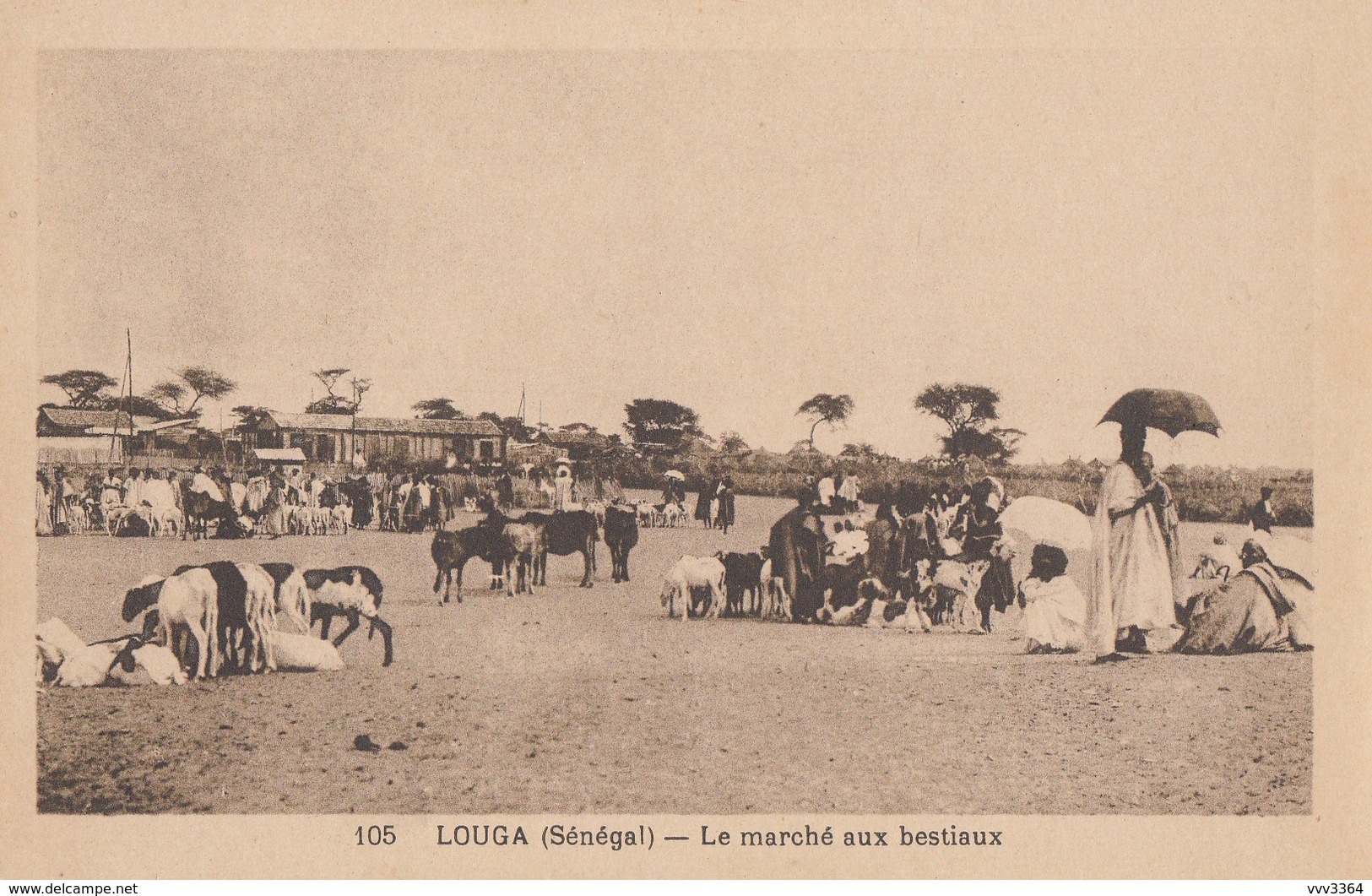 SENEGAL: Saint-Louis, Kaolack, Bengo, Louga, M'Bour, Thiès - Lot De 12 Cartes - Sénégal