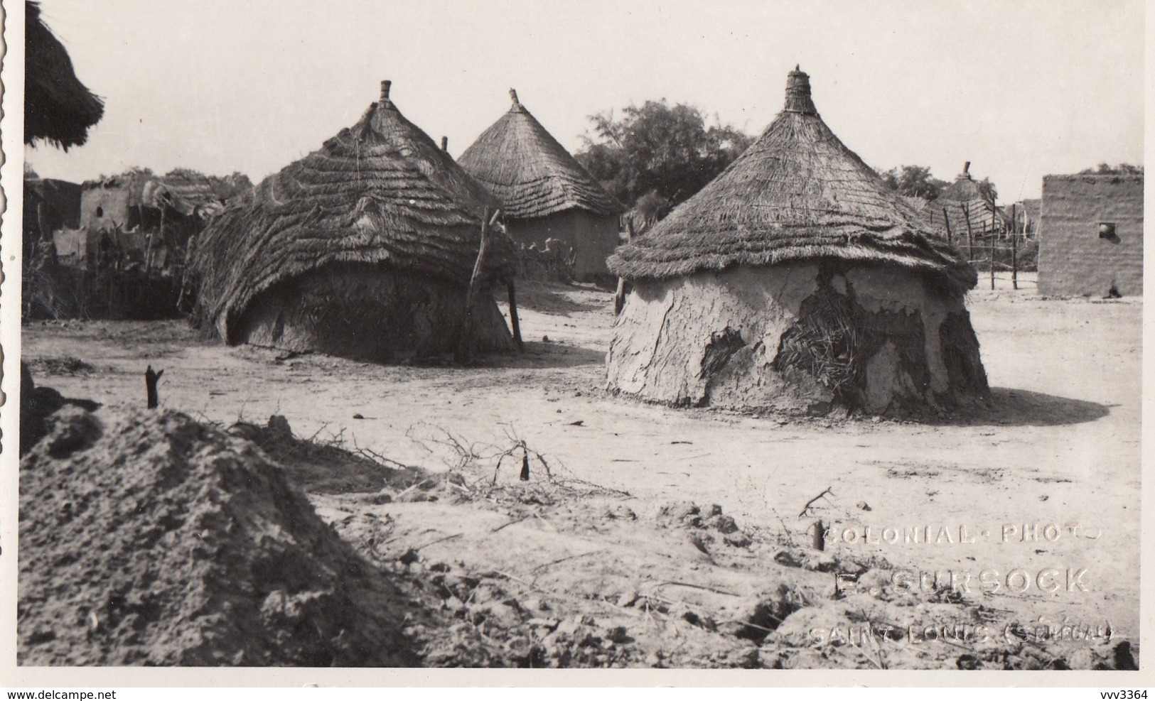 SENEGAL: Saint-Louis, Kaolack, Bengo, Louga, M'Bour, Thiès - Lot de 12 cartes