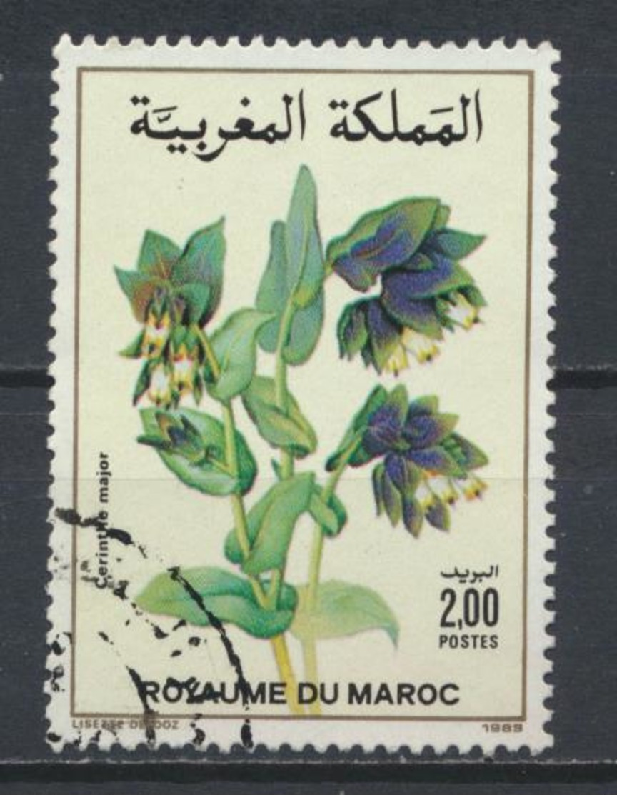 °°° MAROC - Y&T N°1070 - 1989 °°° - Morocco (1956-...)