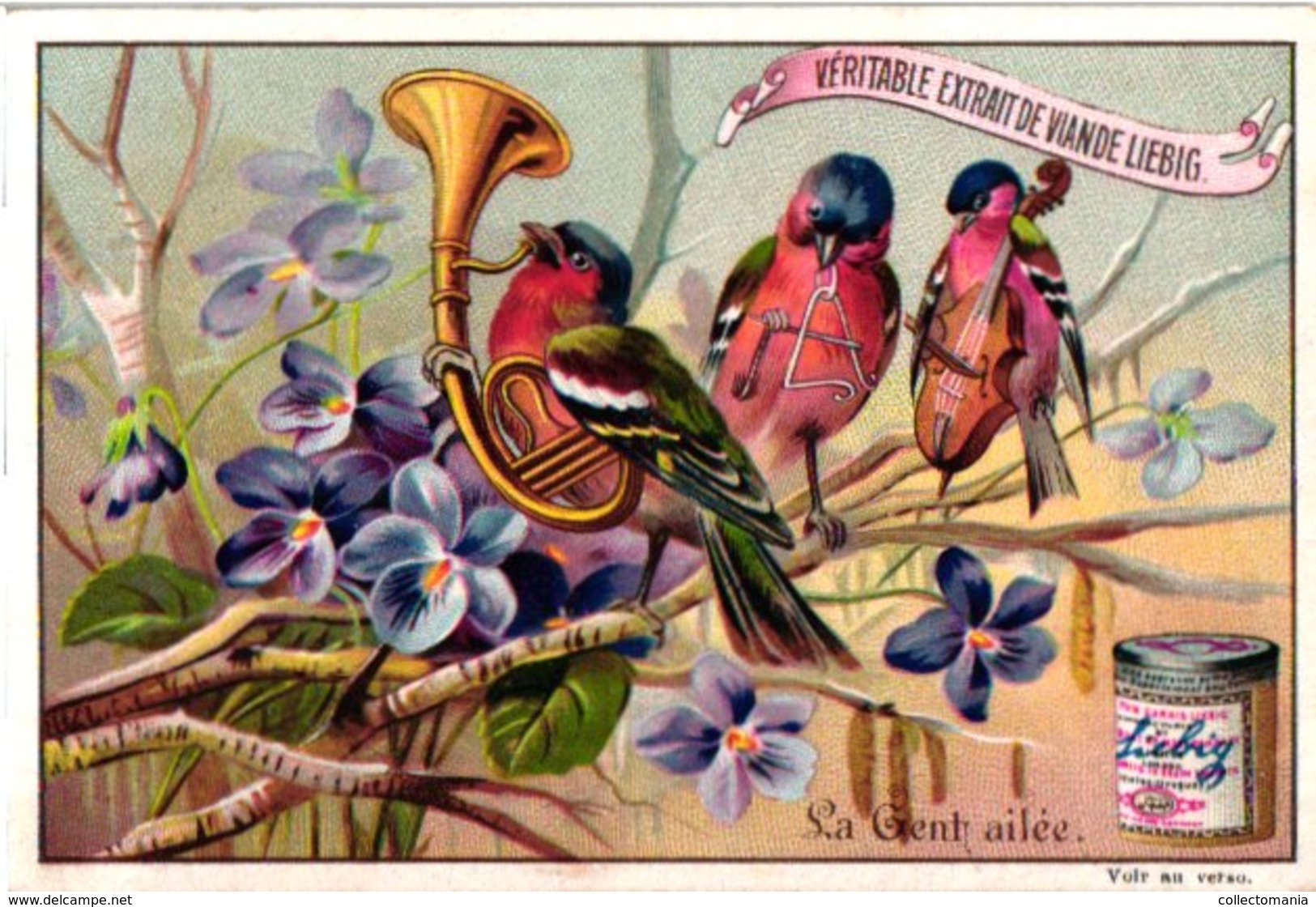 0446   Liebig 6 Cards--C1895  Feathered People-antropomorph-La Gent Ailée- - Liebig