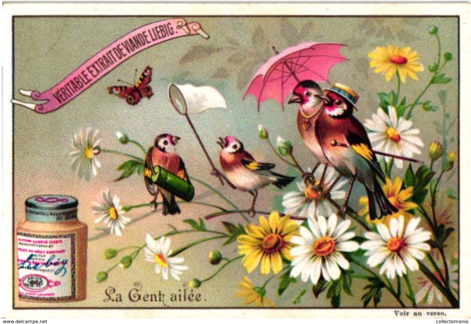 0446   Liebig 6 Cards--C1895  Feathered People-antropomorph-La Gent Ailée- - Liebig