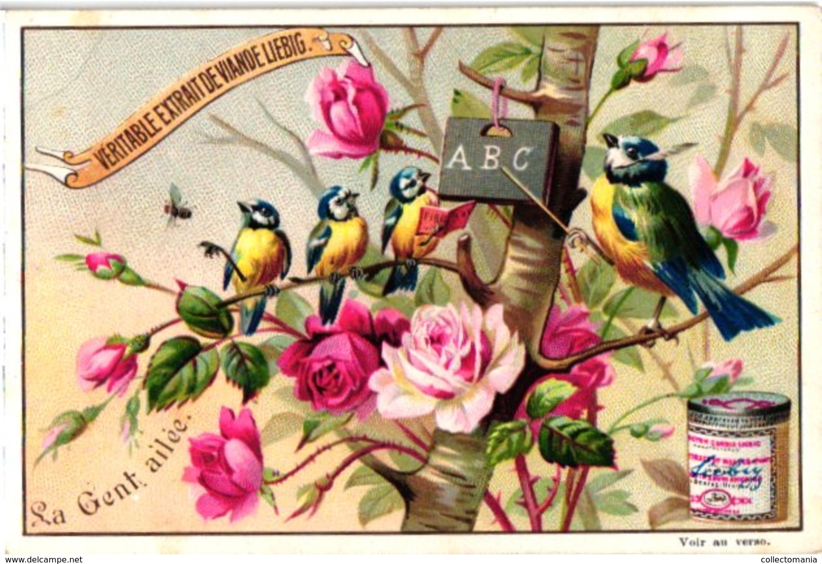 0446   Liebig 6 Cards--C1895  Feathered People-antropomorph-La Gent Ailée- - Liebig