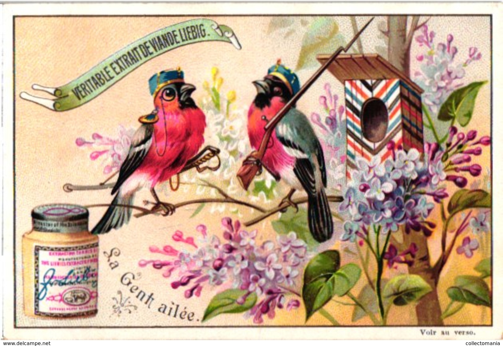 0446   Liebig 6 Cards--C1895  Feathered People-antropomorph-La Gent Ailée- - Liebig