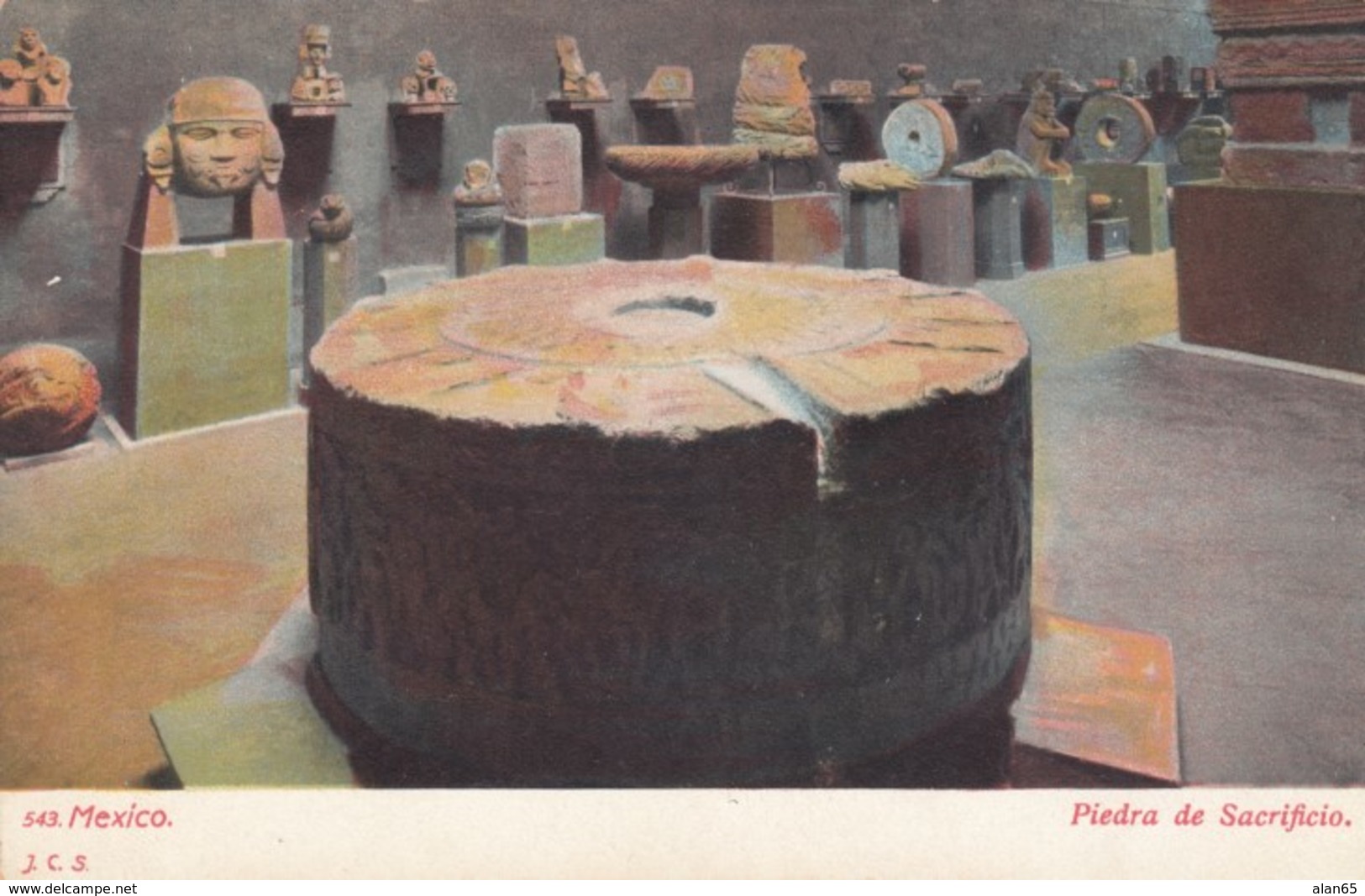 Mexico National Museum Aztec Sacrificial Stone Piedra De Sacrificio, C1900s Vintage Postcard - Mexico