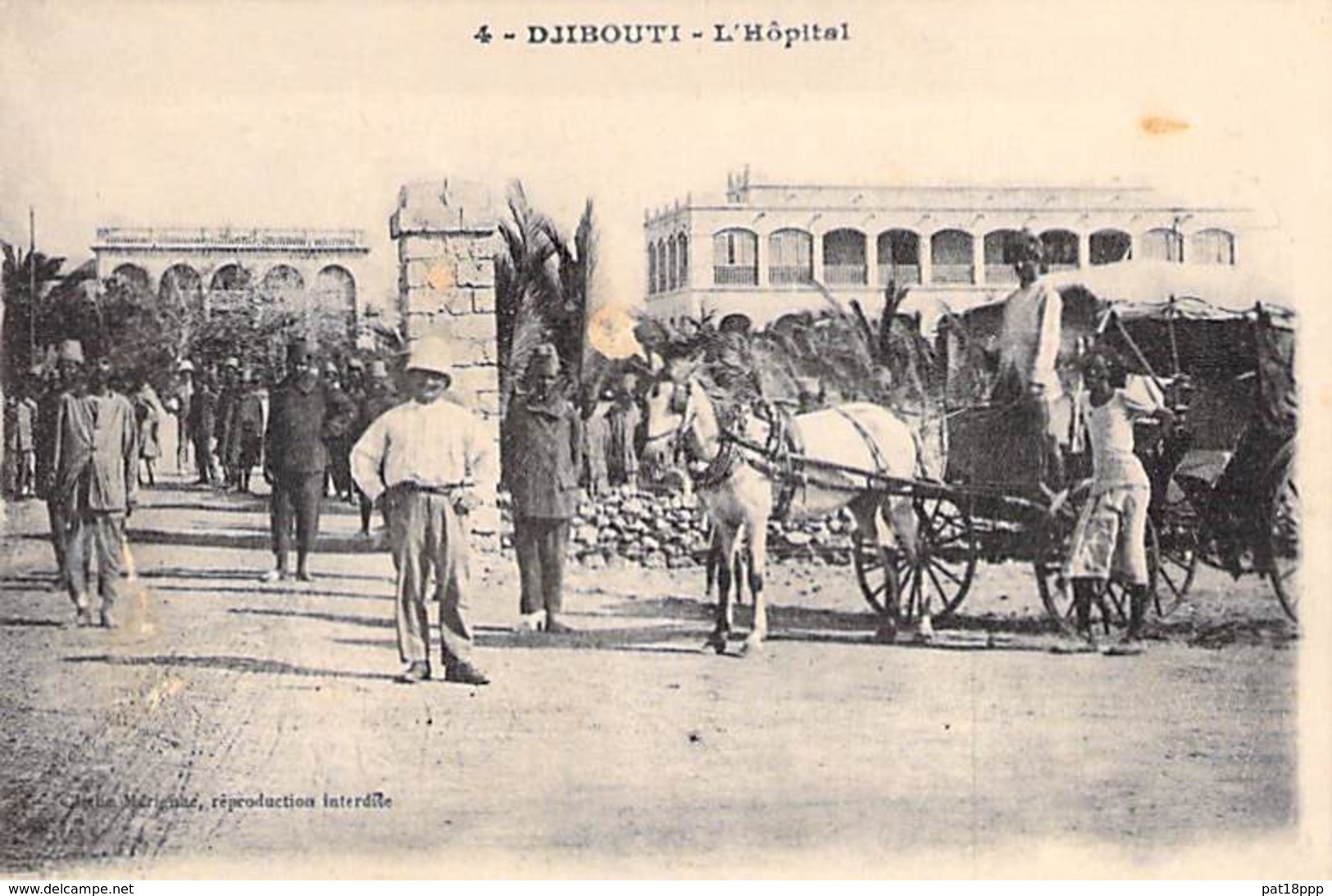 DJIBOUTI  - L'Hopital ( Attelage En 1er Plan ) CPA - - Djibouti