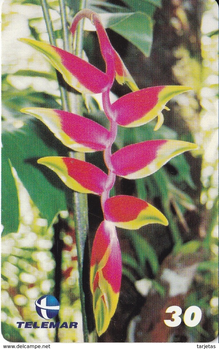 TARJETA DE BRASIL DE UNA HELICONIA  (FLOR-FLOWER-FLORES) - Fleurs