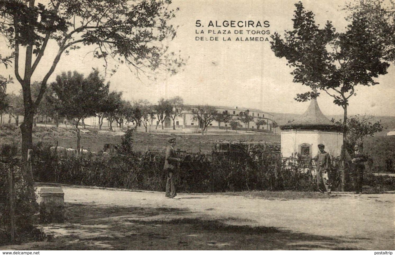 ALGECIRAS (CADIZ ) - LA PLAZA DE TOROS DESDE LA ALAMEDA - Cádiz