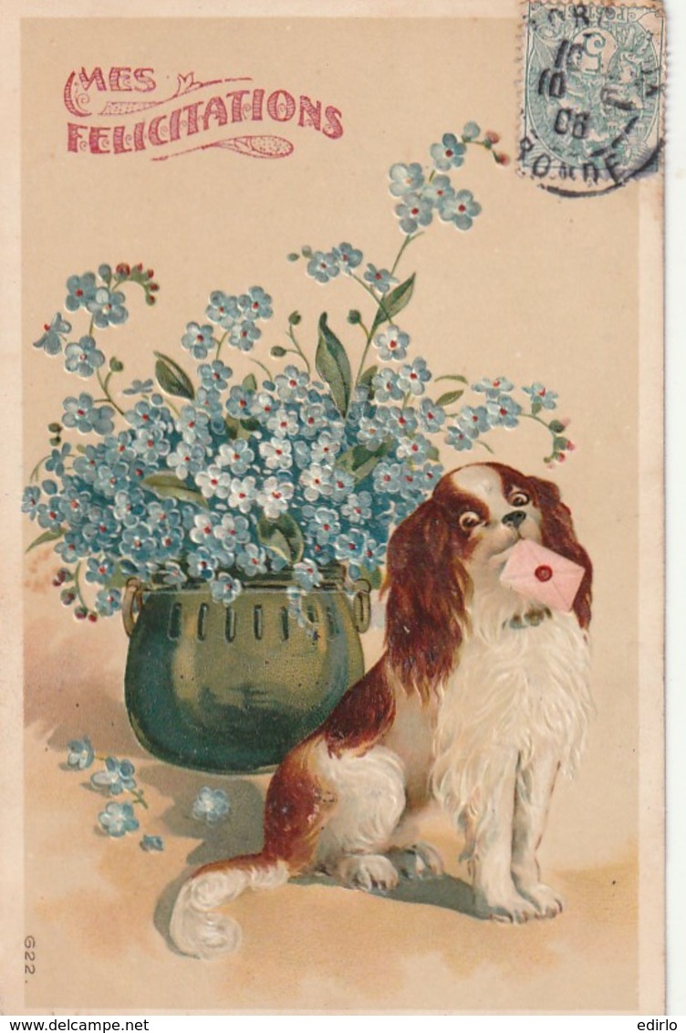 *** Illustrateur  ***   King Charles Embossed Chien Et Fleurs Myosotis   Relief TTB - Flowers