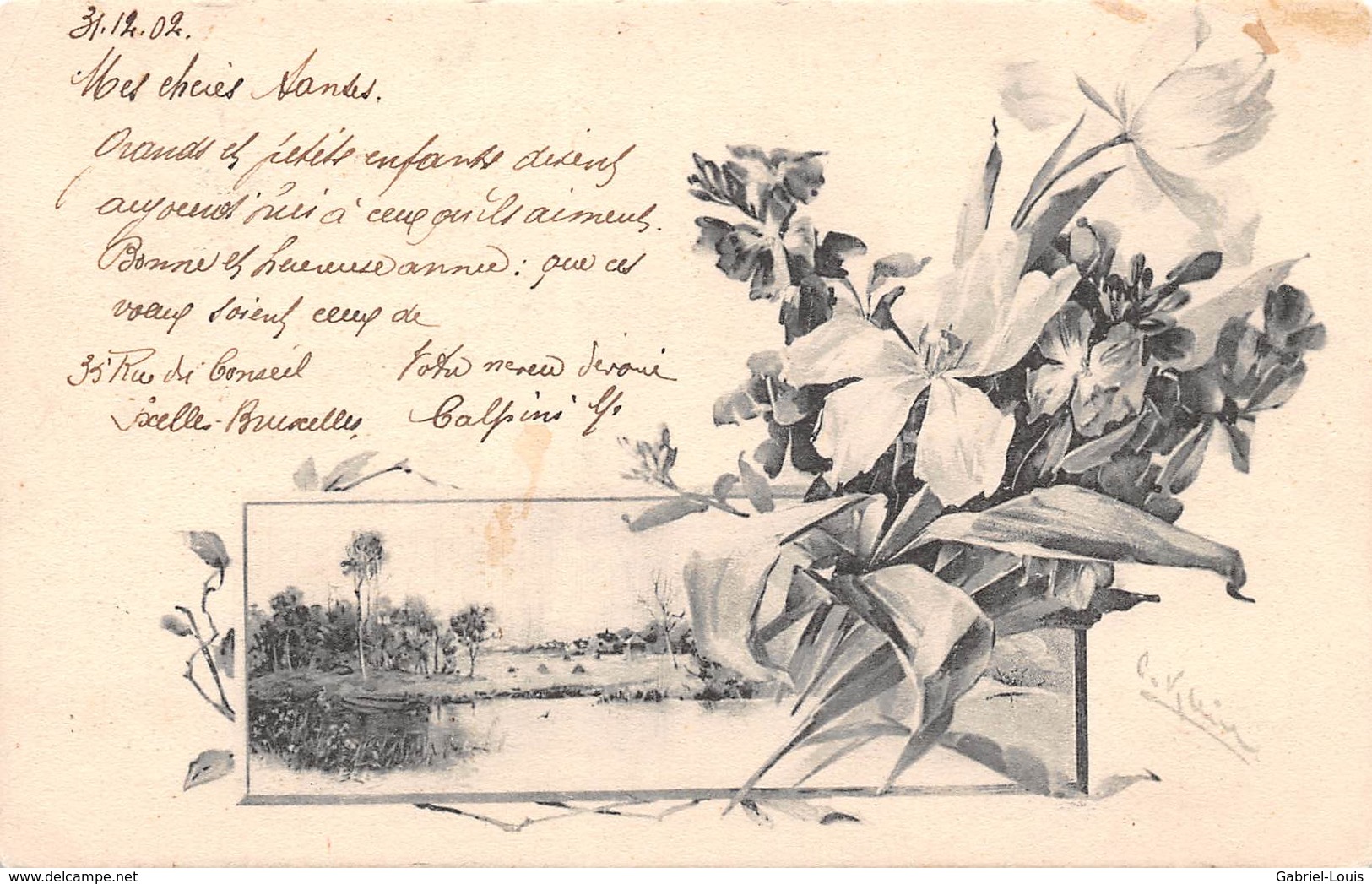 Carte Avec Fleurs, Envoyée De Belgique Pour La Bonne Année 1903 - Fleurs