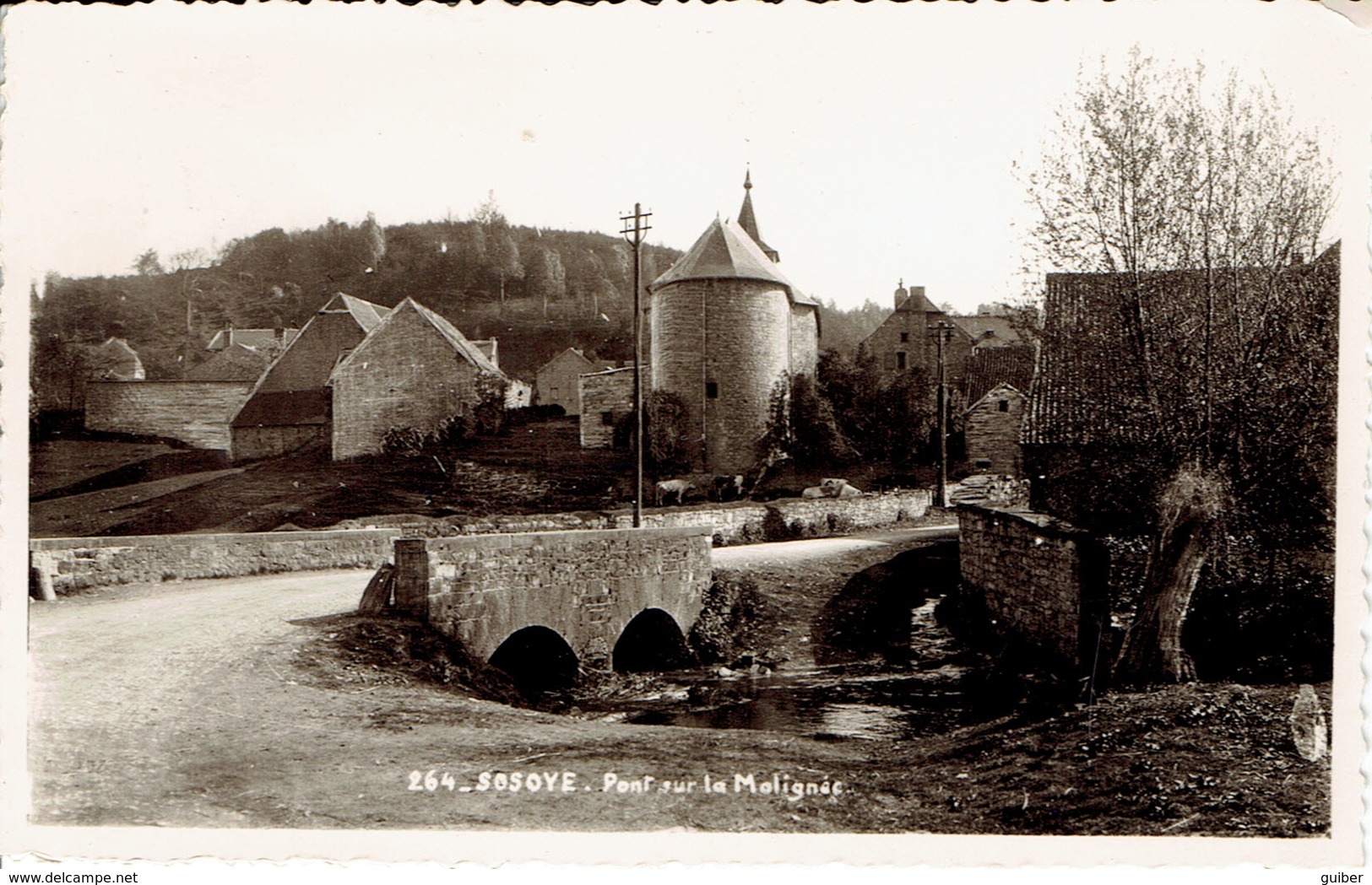 Sosoye Pont Sur La Molignée  MOSA N° 264 - Anhée