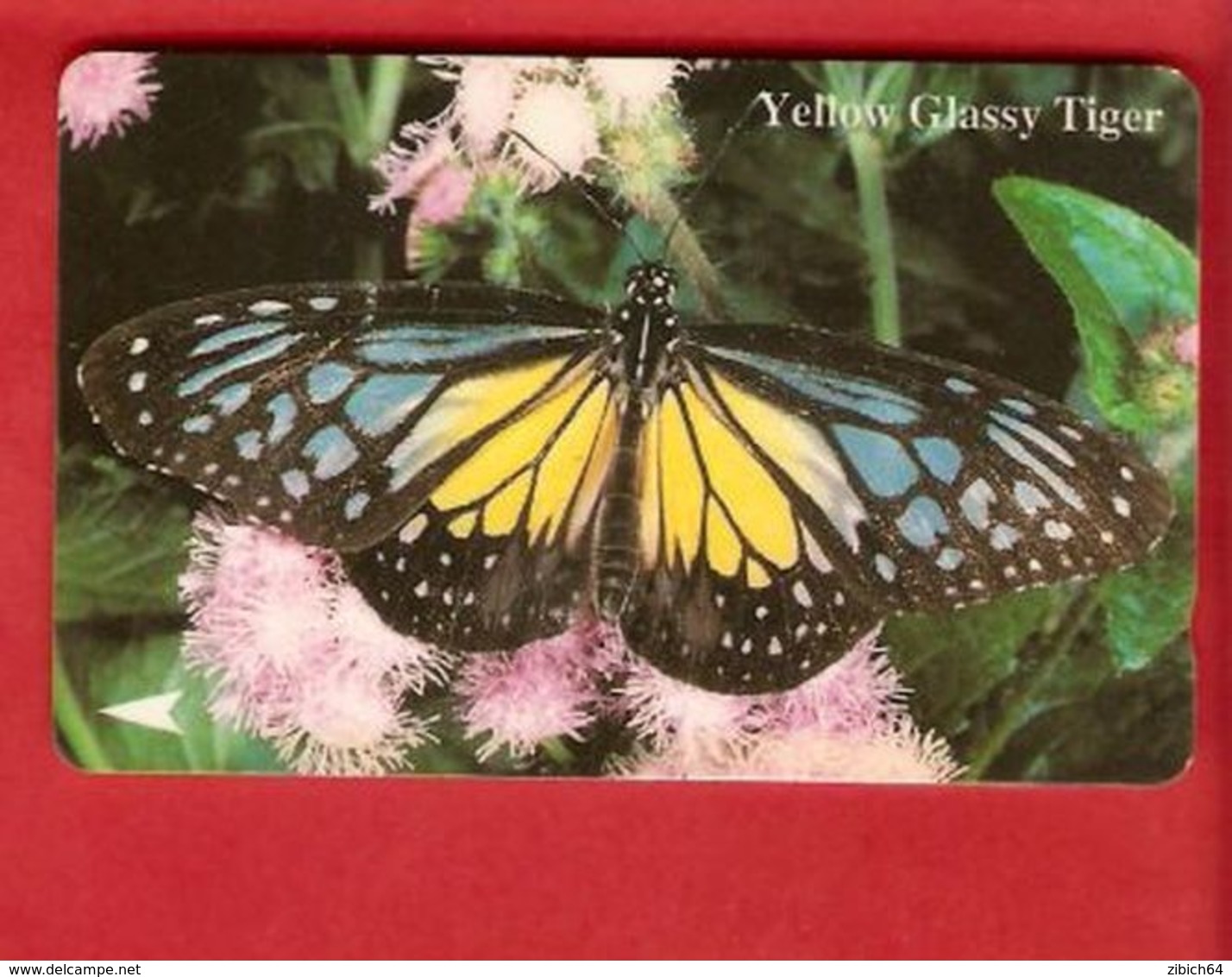 SINGAPORE  GPT Card - Butterflies