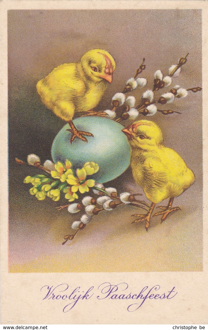 Happy Easter, Joyeux Paques, Vrolijk Paasfeest,  Chicks, Easter Eggs (pk54221) - Pâques