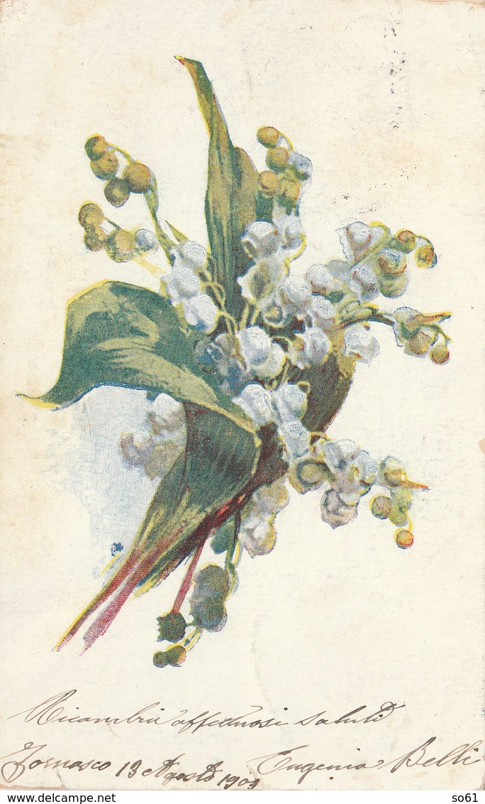 8230.   Da Santa Maria Maggiore Novara Per Elena Caserta 1903  - Small Format FP - Fleurs