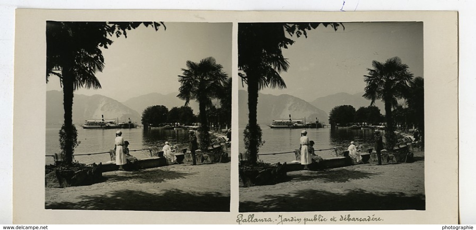 Italie Lac Majeur Pallanza Jardin Public Bateau Ancienne Photo Stereo Possemiers 1900 - Photos Stéréoscopiques