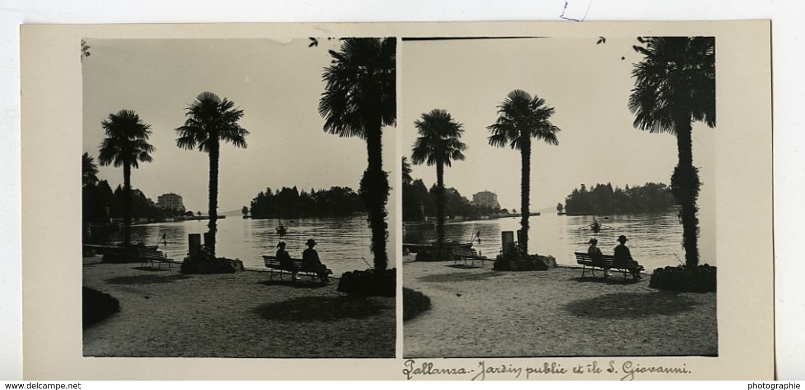 Italie Lac Majeur Pallanza Jardin Public Ancienne Photo Stereo Possemiers 1900 - Stereoscopic