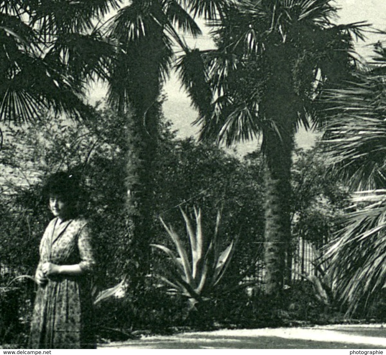 Italie Lac Majeur Pallanza Eden Hotel Jardins Ancienne Photo Stereo Possemiers 1900 - Photos Stéréoscopiques