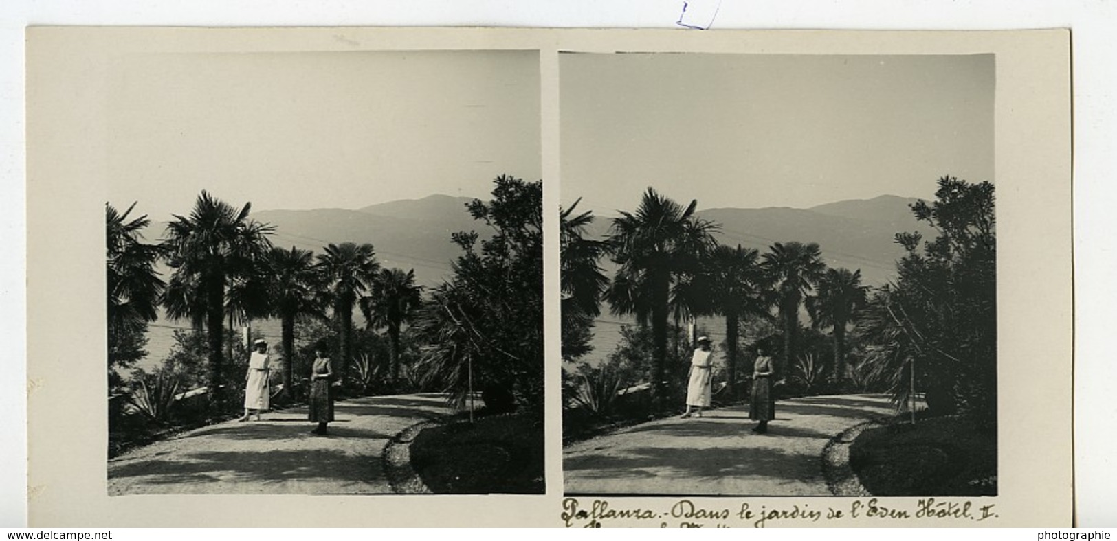 Italie Lac Majeur Pallanza Eden Hotel Jardins Ancienne Photo Stereo Possemiers 1900 - Photos Stéréoscopiques