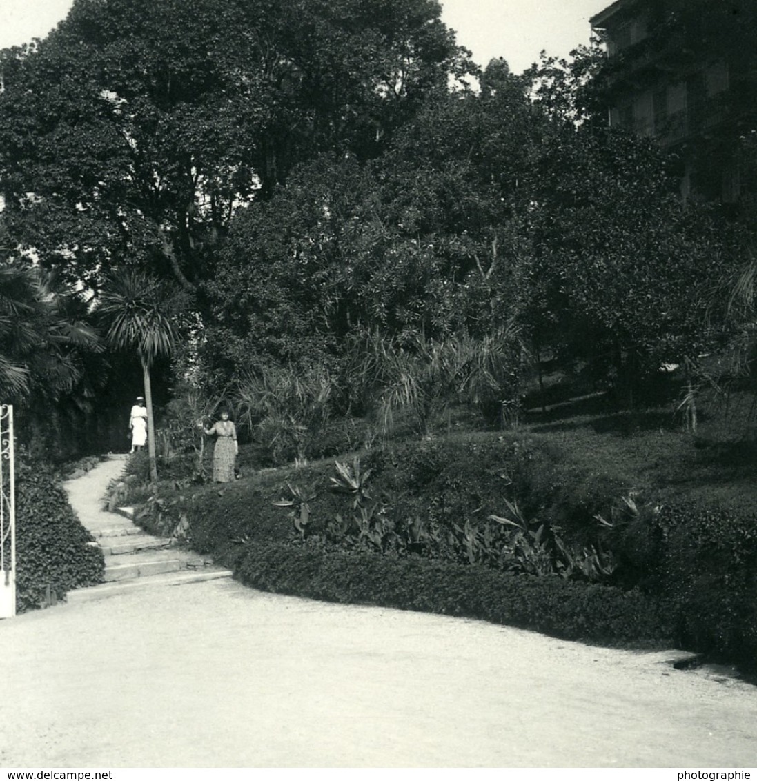 Italie Lac Majeur Pallanza Eden Hotel Jardins Ancienne Photo Stereo Possemiers 1900 - Photos Stéréoscopiques