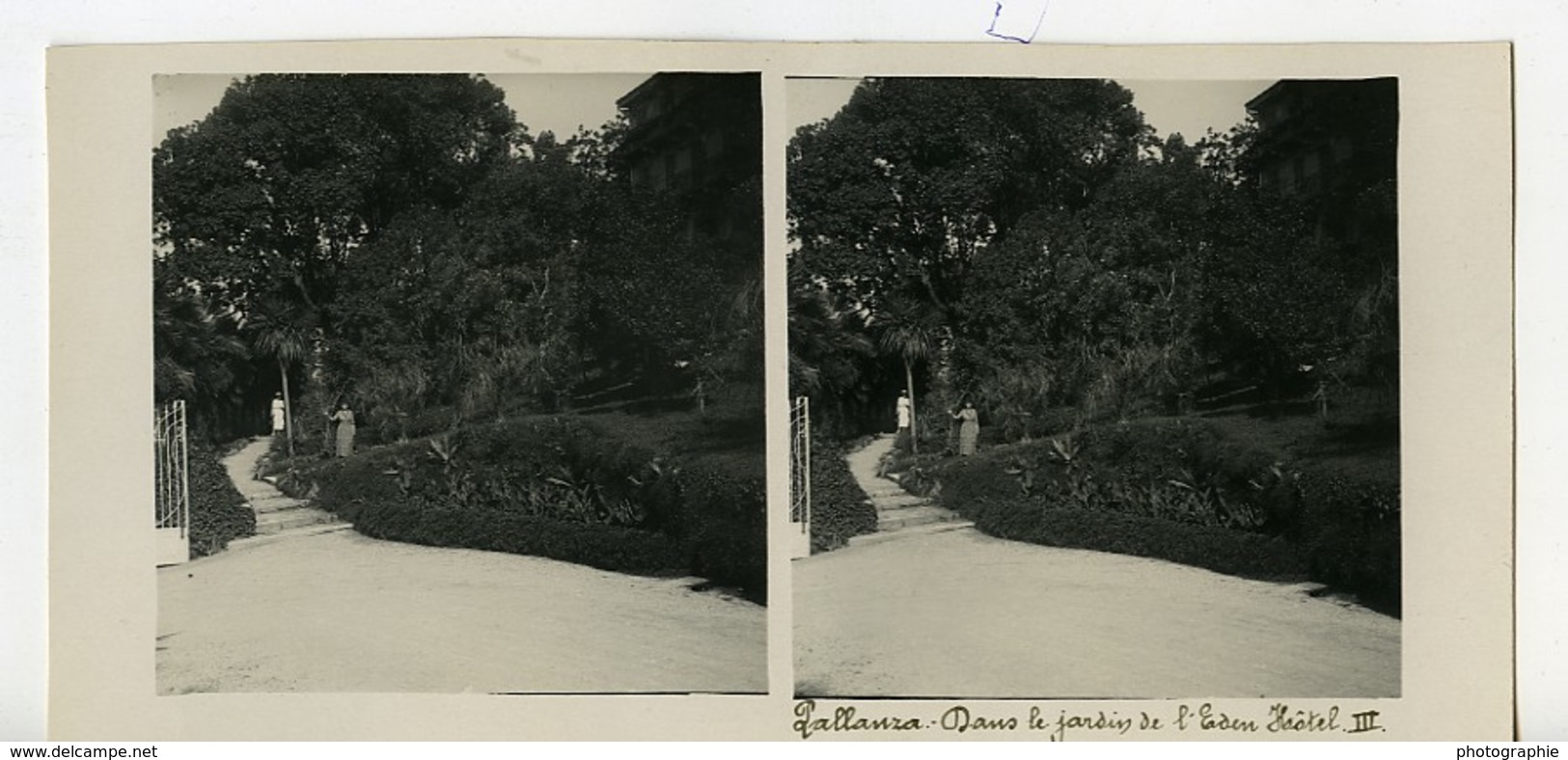 Italie Lac Majeur Pallanza Eden Hotel Jardins Ancienne Photo Stereo Possemiers 1900 - Photos Stéréoscopiques