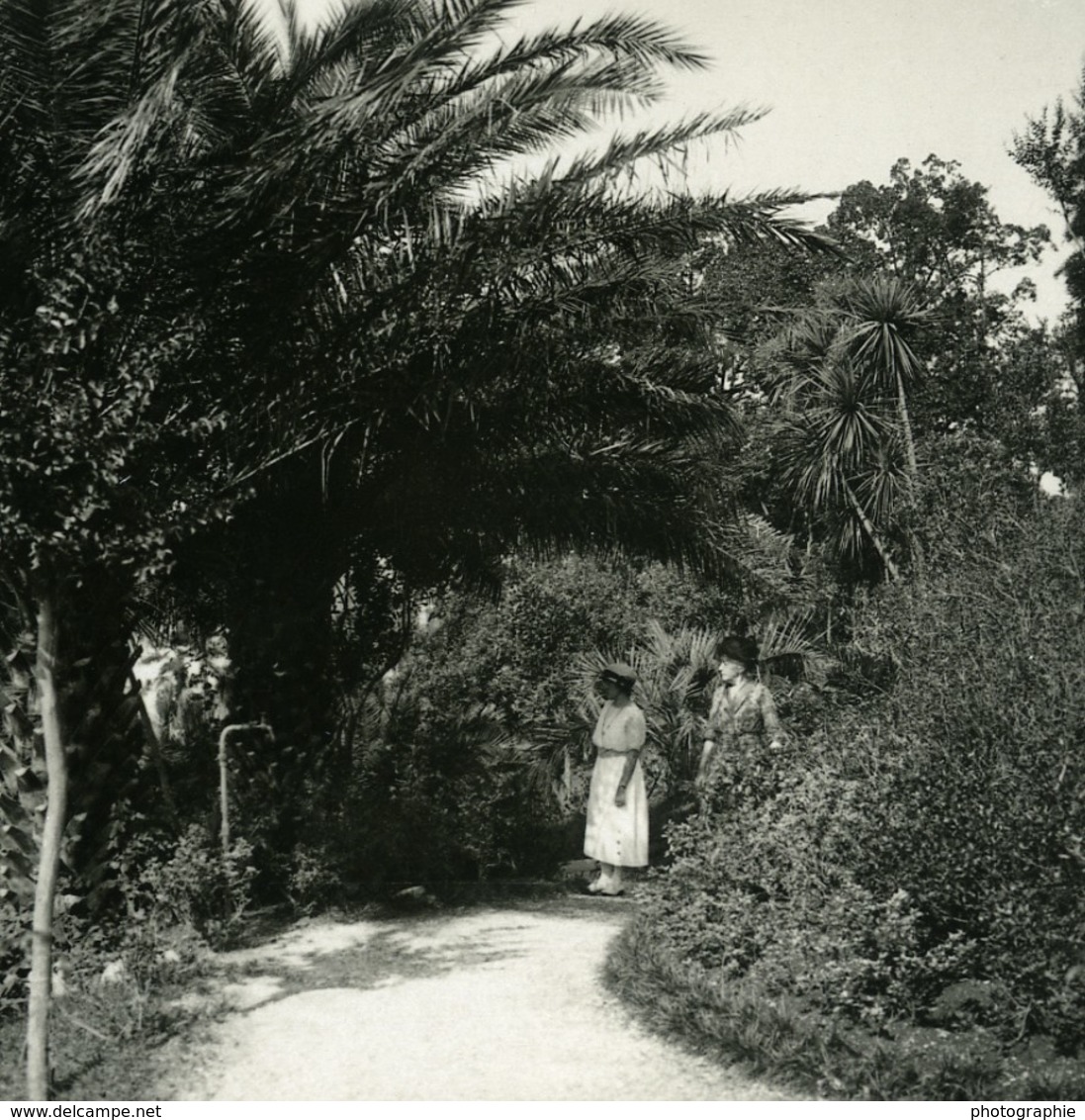 Italie Lac Majeur Pallanza Eden Hotel Jardins Ancienne Photo Stereo Possemiers 1900 - Photos Stéréoscopiques