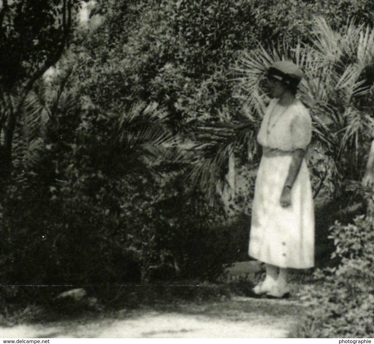 Italie Lac Majeur Pallanza Eden Hotel Jardins Ancienne Photo Stereo Possemiers 1900 - Photos Stéréoscopiques