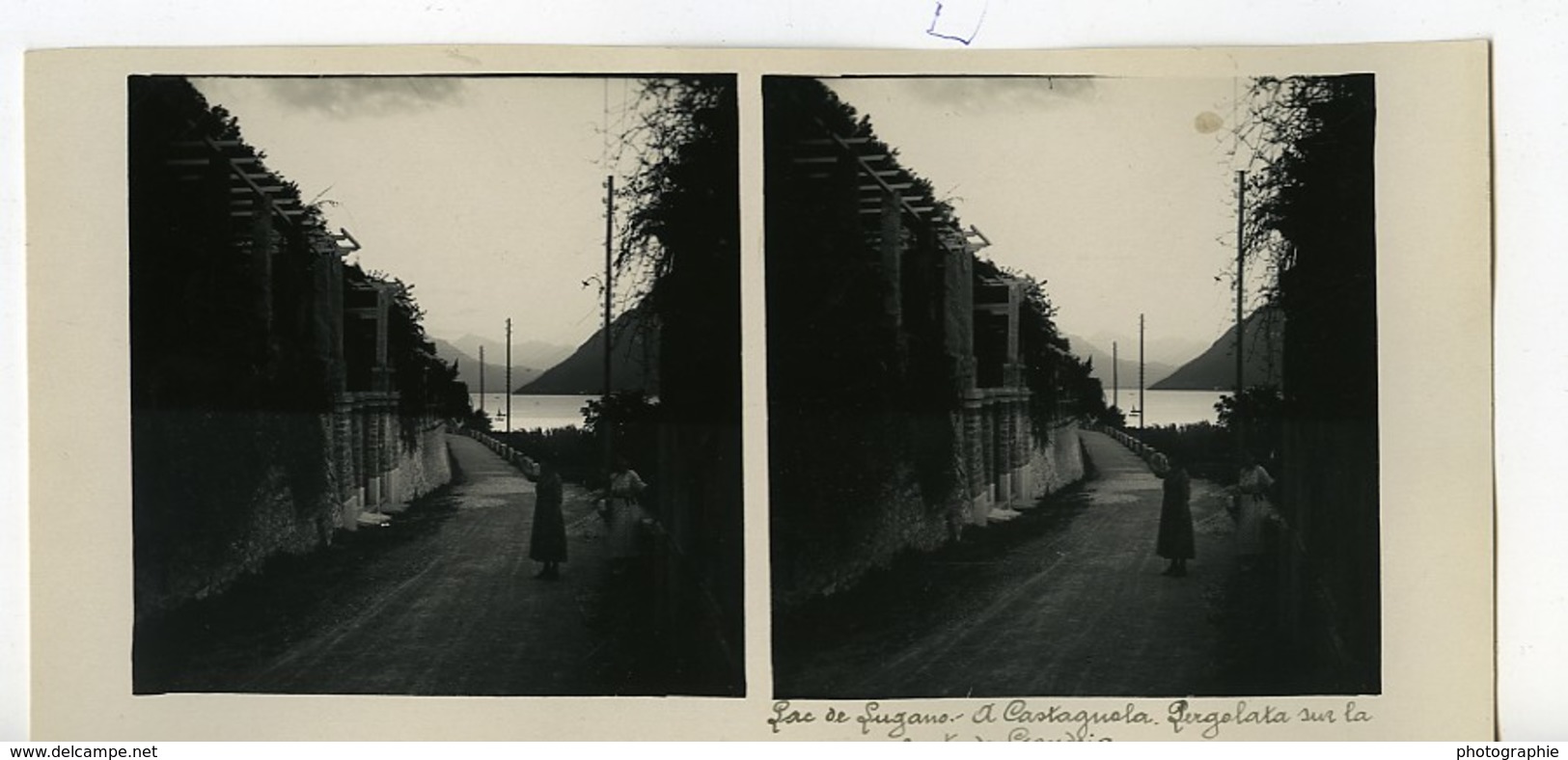 Suisse Lac De Lugano Castagnola Pergola Ancienne Photo Stereo Possemiers 1900 - Stereoscopio