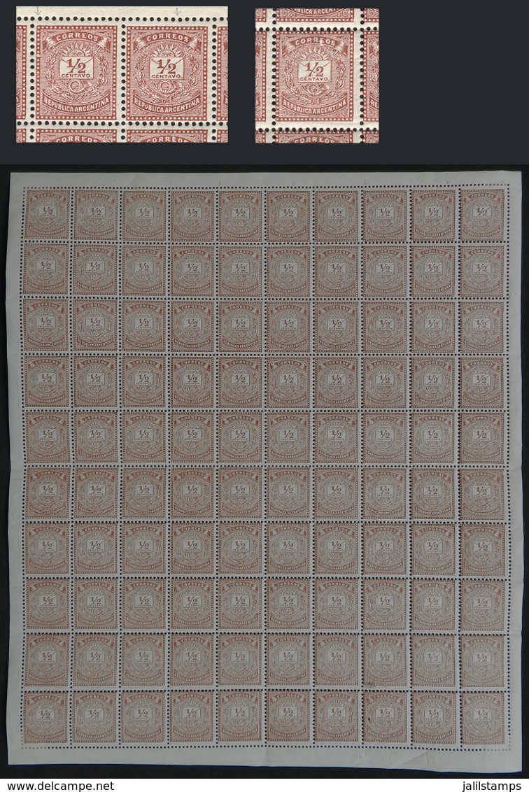 ARGENTINA: GJ.61, 1882 ½c. Chestnut, COMPLETE SHEET OF 100 STAMPS. It Includes 10 Examples With The Variety 2 Without Se - Autres & Non Classés