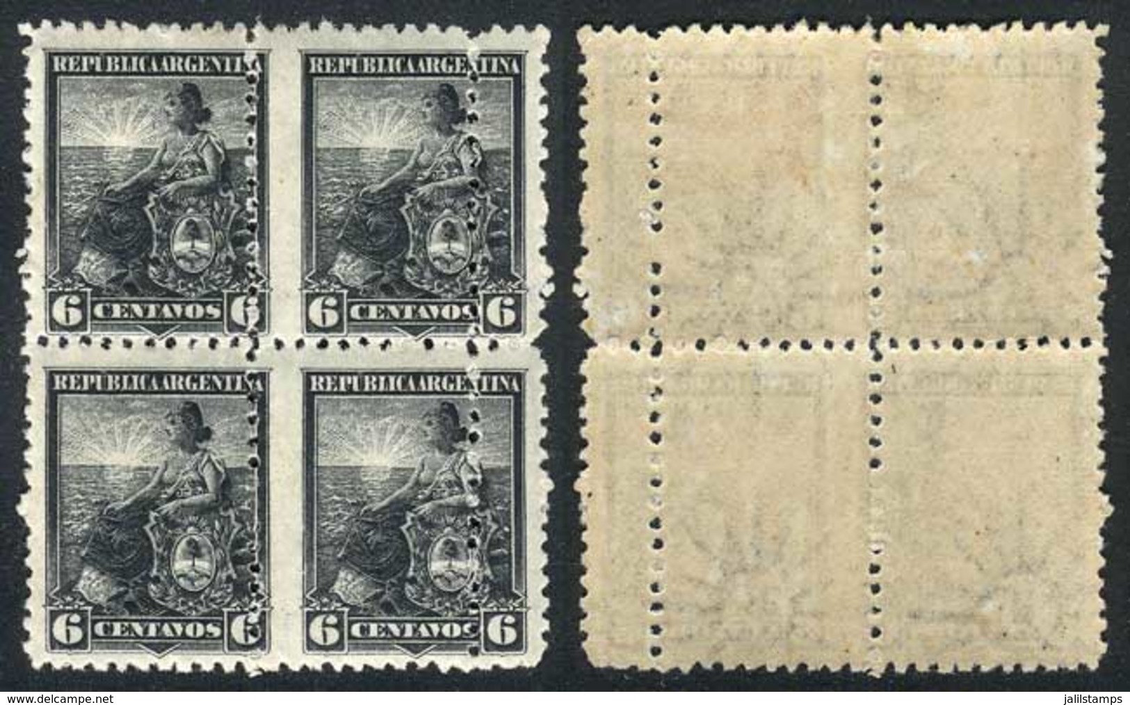 ARGENTINA: GJ.223, 6c. Liberty, Block Of 4 With DOUBLE Vertical Perforation, VF And Rare! - Sonstige & Ohne Zuordnung